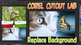 COREL Photo Paint 2017. Remove Background w/  Cutout Lab, Tutorial. CorelDraw Graphics Suite  X8