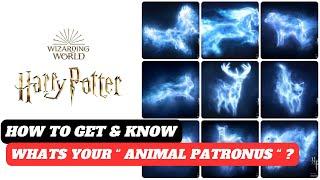 what's your patronus animal | what is animal patronus in Harry Potter | patronus quiz link