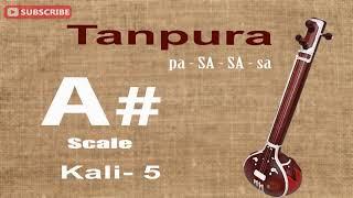 Tanpura A# Scale | Kali 5 | Tanpura | Big Banyan Tree