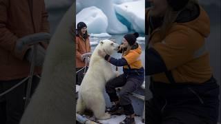 Polar Bear's Heartwarming Rescue! #polarbearrescue #wildlifeconservation #arcticanimals