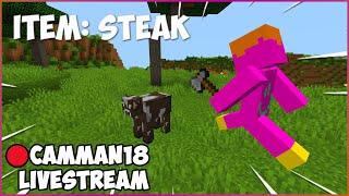 Speedrunning Random Minecraft Items camman18 Full Twitch VOD