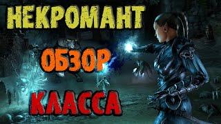 TESO: Некромант - Обзор Класса