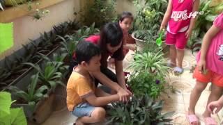 (VTC14)_Mô hình vườn rau sạch cho trẻ mầm non