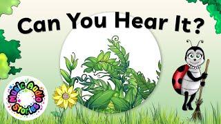 Preschool Listening, Visual and Spelling - A Jungle