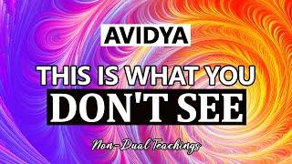 Avidya - What We Ignore Of Reality  Non-dual Teachings 011