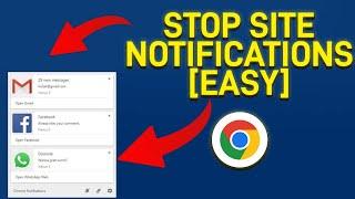 How to Enable/Disable site notification in Google Chrome PC windows 11 |Get rid of spam notification