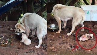 "Mom, don't hit me again", he cried loudly, not knowing what he had done wrong