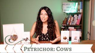 Petrichor: Cows Expansion - Play it Right | Cardboard Rhino