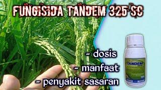 FUNGISIDA TANDEM UNTUK PADI