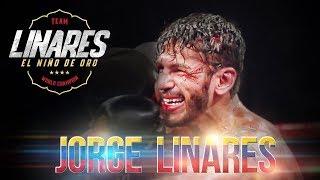 Jorge Linares  - I Came Here Now to Fight