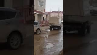 Лось пришёл в город посмотреть на животных