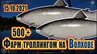 Фарм 500+ на Волхове 15.10.2021 РР4 Русская рыбалка 4 ЛососьФарм рр4ВолховРЫБОКИТ俄羅斯漁夫 4 三文魚