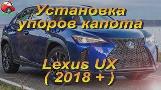 Установка упоров / амортизаторов капота на Lexus UX от upora.net