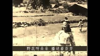 山地之春 - 夏丹 Hsia Tan / 鍾情 Chung Ching 【唱片版】