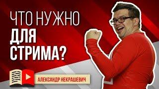 Какое оборудование нужно для стрима на YouTube с телефона? Начни стрим на телефоне! Школа Стримера