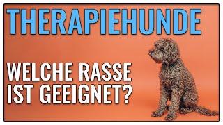 DAS sollte ein Therapiehund mitbringen - TGH 374