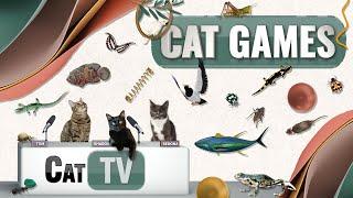 CAT Games | Ultimate Cat TV Compilation Vol 58 | 2 HOURS 