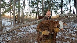 Surprise calf born amidst winter storm!