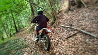 Beta rr50 enduro | Wald Test