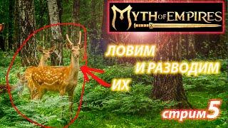 Myth of Empires Как развести *оленей*?)))