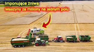 Wheat harvest in abundance  4 combines with 9 m heaps and Bergmann in one field