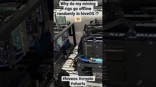 Mining rigs go offline randomly in hiveOS. Help!?