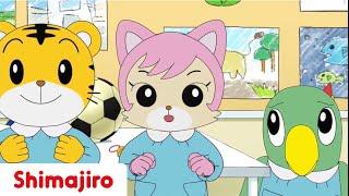 What's Flappie's Secret Item? | Family | Mom | Mum | Kids videos for kids | Shimajiro