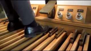 Flohwalzer auf der Orgel - gespielt mit den Füßen (und einem Quoten-Patzer)