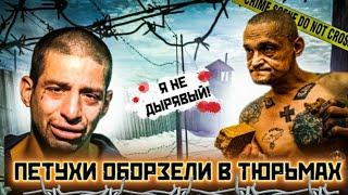 ПЕТУХИ ОБОРЗЕЛИ В ТЮРЬМАХ