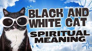 Black And White Cat Spiritual Meaning | The Spiritual Parrot