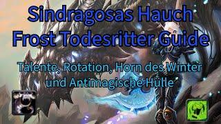 Singragosas Hauch Frost Todesritter Guide! Rotation, Horn des winters, AMS tips und mehr! M+ Raid!