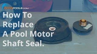 How To: Replace a pool pump motor shaft seal