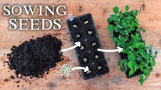 The No-Nonsense Seed Sowing Guide (For Vegetable Gardeners)