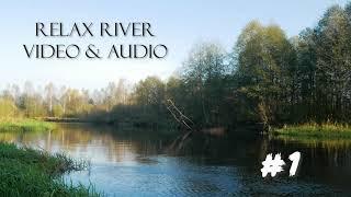 Река Березина Природа Раслабляющее видео Relax River ASMR #1