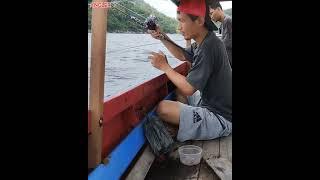 JUOSSS‼️UMPAN CUMI POTONG #shorts #angler #squid #bait  #mancingdasaran #rod #kenzy #viral @Angler7