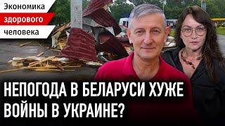 В Беларуси все посыпалось из-за непогоды / Лукашенко и Европа / Экономика Беларуси