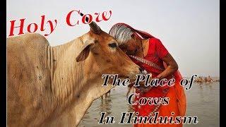 Western Guy With Vedic Eyes: Holy Cow! Cows in Hinduism