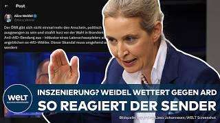 ARD-SENDUNG "DIE 100": AfD wettert wegen Laiendarsteller! Sender weist Manipulationsverdacht zurück