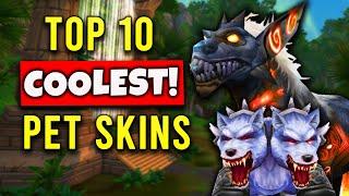 Top 10 Coolest Hunter Pets You Can Tame in WOTLK Classic!