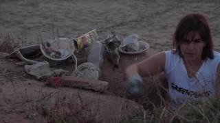 Recogida de basura en la playa de Valencia