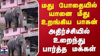 மது போதையில் யானை மீது உறங்கிய பாகன் - அதிர்ச்சியில் உறைந்து பார்த்த மக்கள்