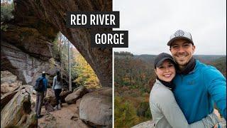 Hiking the Red River Gorge Loop in Kentucky (Gray’s Arch + Hanson’s Point) + post-hike FOOD!