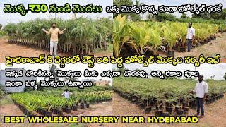 Best Biggest Wholesale Nursery Near Hyderabad, Buy Fruit, Flower, Show Plants Under Low Prices