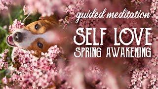 Spring Awakening: Self-Love and Embracing Your Inner Light - Guided Meditation - Magical Crafting