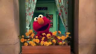 O Mundo do Elmo (Elmo's World, 2017) - Intro (Brazilian Portuguese)