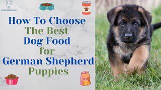 How To Choose The Best Dog Food for German Shepherd Puppies