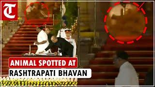 Animal spotted in background during PM Modi’s swearing-in ceremony, video goes viral