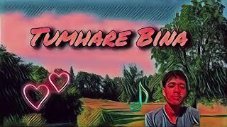 tumhare bina/ Lo-Fi song/ rajibk bollywood hindi song