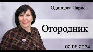 Огородник. Л.Одинцова.2.06.24.