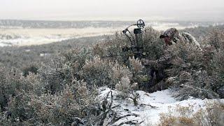 S:7 E:11 Late Season DIY Archery Mule Deer in the Snow with Tim Burnett of SOLO HNTR